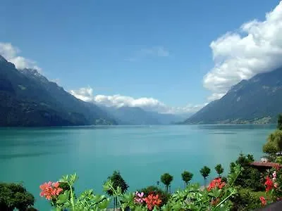 Holiday Bellevue *